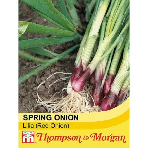 Spring Onion Lilia 1 Seed Packet