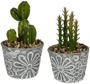 Artificial Cactus Plants In Pot Set Of 2 Home Decoration Gift Realistic Plant For Office, Table, Desk Indoor & Outdoor