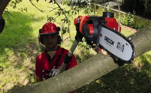 Einhell 17cm Cordless Polesaw High Reach Chainsaw Up to 2.77 Metres Height Power X-Change GE-LC 18 Li T-Solo - Body Only