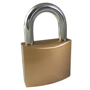 Ever Strong Iron Padlock (W)48mm