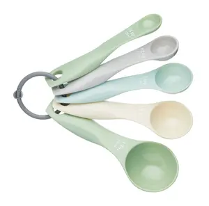 Colourworks Classics Five Piece Measuring Spoon Set