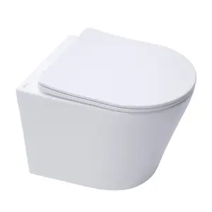 Rimless Wall Hung Toilet Pan with Seat