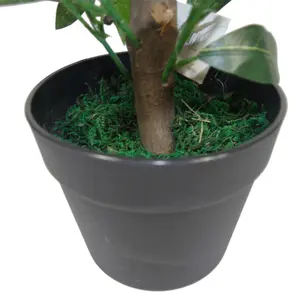 50cm Dwarf Artificial Bay Tree Laurel Topiary Bush