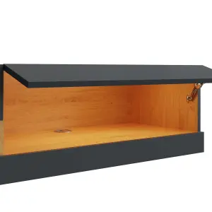 GFW Leon 180cm Wall TV Unit with LED Anthracite