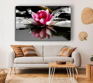 Pink Water Lily Reflections B N W Canvas Print Wall Art - Medium 20 x 32 Inches