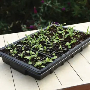 40 Cell Plastic Seed Tray Propagator x 1