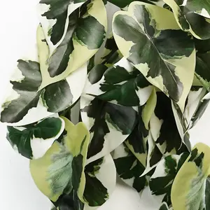 40cm Artificial Trailing Variegated Marble Pothos Plant