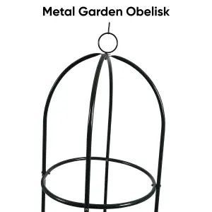 Garden Plant Obelisk For Garden Plants Vines Support