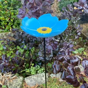 Cast Iron Wild Bird Forget Me Not Flower Dish Bird Feeder