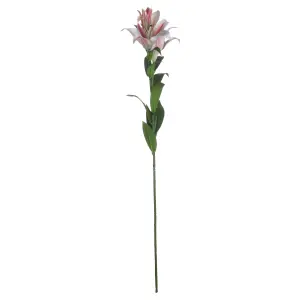 Hill Interiors Stargazer Lily White/Pink (One Size)