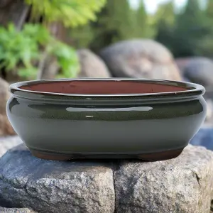 26cm Glazed Bonsai Pot - Oval - 26cm x 20cm x 6cm - Green