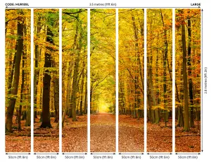 Origin Murals Outdoor Nature Autumn Forest Matt Smooth Paste the Wall Mural 350cm wide x 280cm high