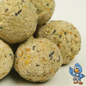 10L x BusyBeaks Suet Fat Balls - High Energy Feed Wild Garden Bird Food Treats