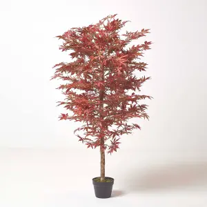 Homescapes Acer Tree in Pot, 150 cm Tall