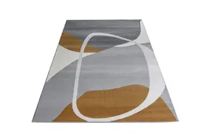 Maison Large Indoor Rug 200 X 290cm