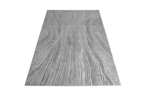 Impression Large Indoor Rug 200 X 290cm