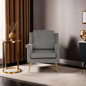 Interiors by Premier Grey Velvet Armchair For Livingroom, Modern Sturdy Armchair, Velvet Upholstered Accent Chair For Reading