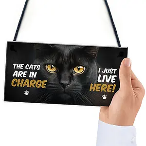 Red Ocean Funny Joke The Cats Are In Charge Cat Gifts For Cat Lovers Hanging Wall Sign Pet Gifts Pet Signs