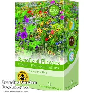 Scatter Seed Box Collection - 4 Packs