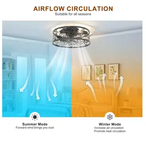 46cm Farmhouse Caged Ceiling Fan with Light Kit and Remote