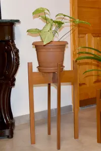 Decorotika Florny Handmade Solid Wood Plant Stand (60cm)