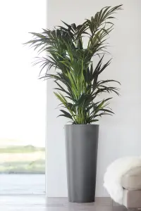 Amsterdam High Vase Ecopot  Grey