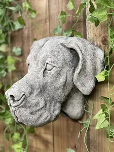 Adorable Great Dane Head Stone Wall Plaque