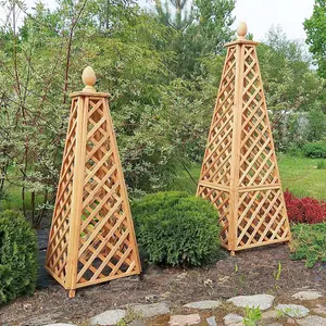 Primrose Wooden Garden Obelisk for Garden Climbers Climbing Plants 64cm x 180cm