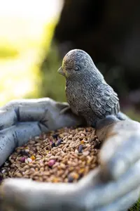 Open Hands with Robin Bird Feeder