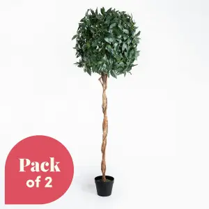 Blooming Artificial - 180cm / 6ft Artificial Bay Laurel Tree (Pair) Topiary