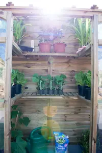 Victorian Tall Wall Greenhouse