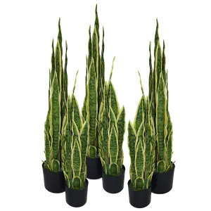 90cm (3ft) Artificial Sansevieria Yellow Green Indoor Plant - Large