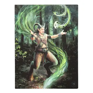 Anne Stokes Earth Elemental Wizard Canvas Plaque Multicoloured (25cm x 19cm)