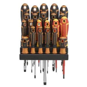 Magnusson 22 piece Standard Mixed Screwdriver set