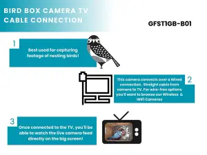 Green Feathers Wired Connection 1080p HD Camera and Small Wooden Bird Box Starter Pack