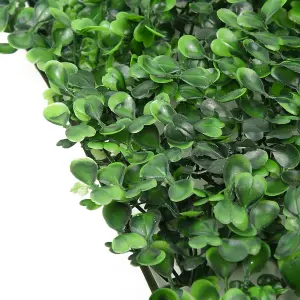 6 Pcs Artificial Grass Wall Boxwood Hedge Panels for Both Indoor & Outdoor, 40 x 60cm