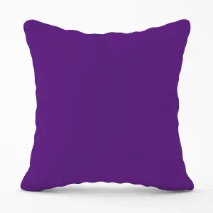 Purple Jam Cushions 45cm x 45cm