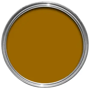 Rust-Oleum Painter's Touch Antique gold effect Gloss Multi-surface paint, 20ml