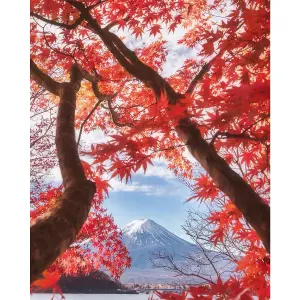 Pyramid International Mount Fuji Canvas Print White/Red/Blue (50cm x 40cm)