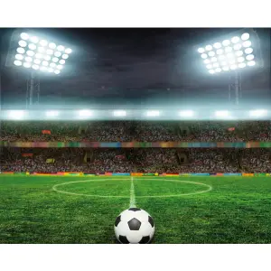 Origin Murals Football Stadium Green Matt Smooth Paste the Wall Mural 300cm Wide X 240cm High