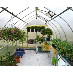 Bella 8 Ft W x 20 Ft D Greenhouse