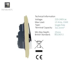 Trendiswitch Gold 1 Gang 13 Amp Switched Socket