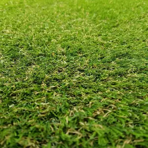 Artificial Grass 30mm-  4m x 4m (Staples Included)