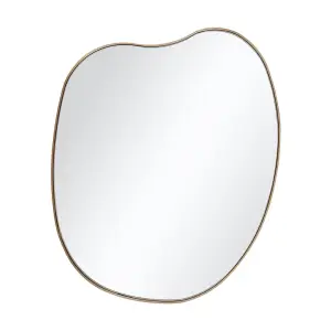 47.5cm W x H 61cm H Irregular Wall Mounted Metal Framed Bathroom Mirror Decorative, Gold