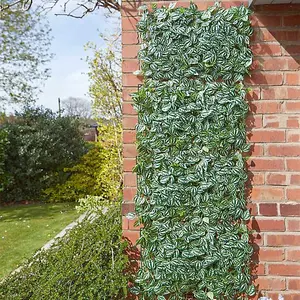 Ivy Leaf Screening Panel Trellis 60cm x 40cm