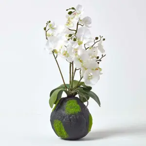 Homescapes White Phalaenopsis Artificial Orchid with Natural Base, 60 cm Tall