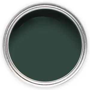 Annie Sloan Wall Paint 2.5 Litre Knightsbridge Green