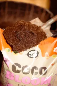 Coco&Coir Coco Bloom All Purpose 50L Peat Free Compost