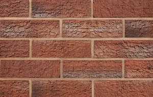 Carlton Wolds Autumn Blend Brick 65mm Pack 250