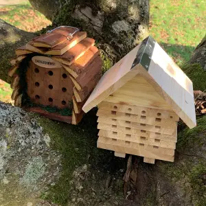 Wooden Solitary Bee Hive Hotel Habitat & Hanging Ladybird Hotel